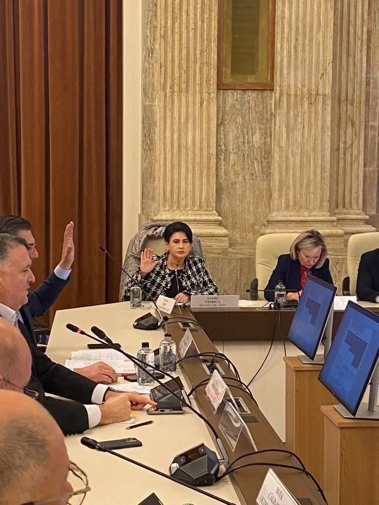 Deputatul Viorica Sandu: Am reușit să reducem vârsta standard de pensionare pentru siderurgiști