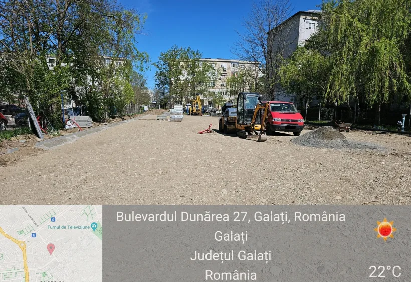 Amendă uriașă dată de Garda de Mediu unei firme care „a tăiat un copac fără respectarea normelor și autorizațiilor necesare”