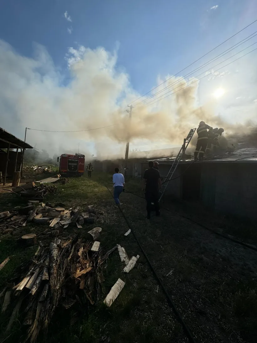 Incendiu de amploare la o fabrică de peleţi din comuna Gohor