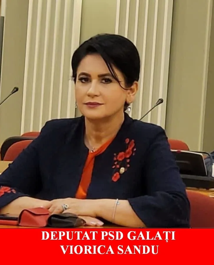 Deputatul Viorica Sandu: Guvernul a aprobat limitarea cheltuielilor bugetare și o amnistie fiscală parțială