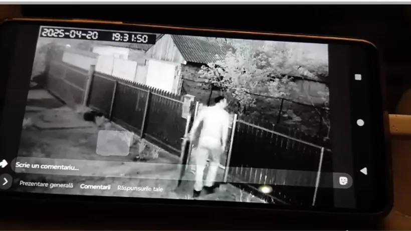Câini uciși în bătaie la Luncavița. Damen Galați condamnă ferm gestul crud făcut de angajatul său