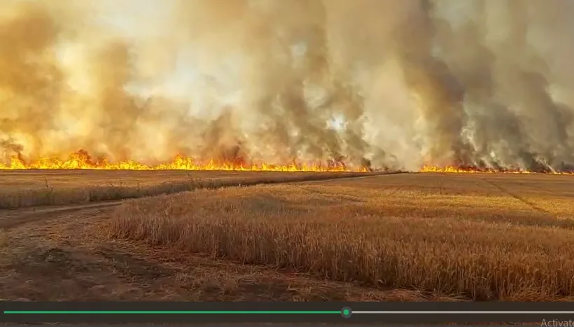 Incendiu la Tulucești, în apropierede de pădurea Gârboavele. Pompierii au intervenit de urgență