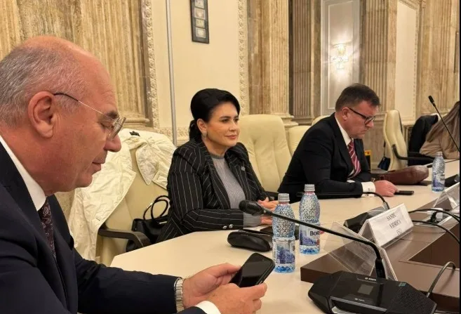 Deputatul Viorica Sandu, în dialog cu liderii companiilor despre efectele IMCA asupra economiei