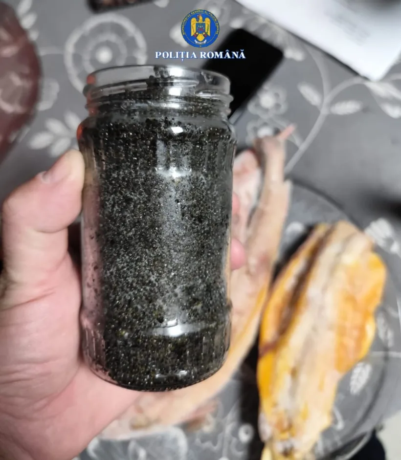 Doi bărbați din Galați cercetați pentru pescuit ilegal de sturion în Dunăre