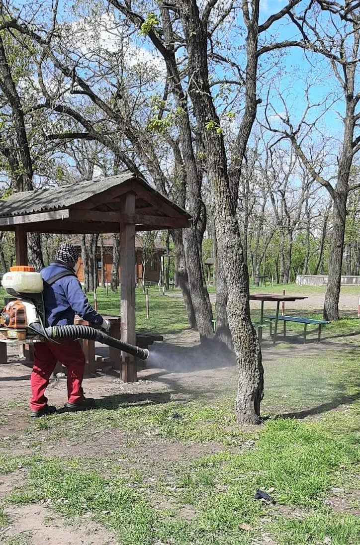Dezinsecție în Galați, înainte de Paște
