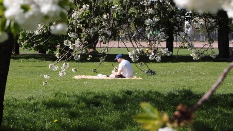 Frig și instabilitate la început de mai. Când revine vremea la normal