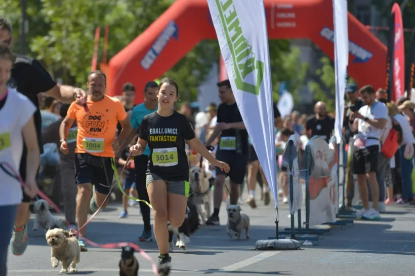 Restricții de circulație și trasee deviate la Galați, din cauza Semimaratonului 2026