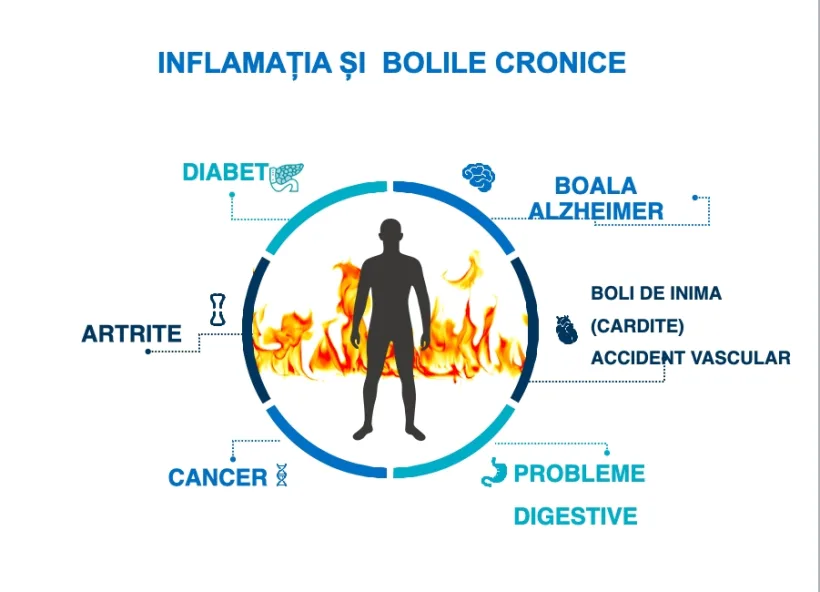 Atenție la dietă și la stilul de viață: Inflamația cronică din organism influențează bolile netransmisibile