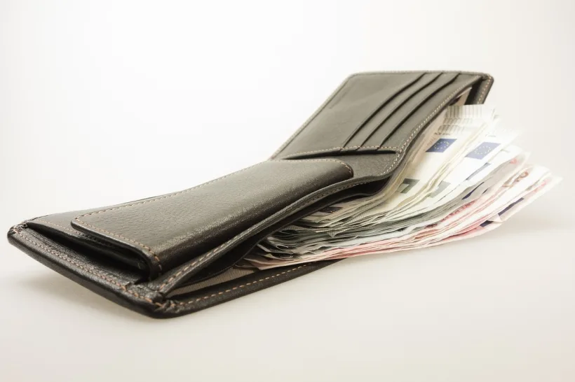 Veniturile lunare ale unei gospodării provin din salarii, în mare parte. 80% s-au dus pe cheltuieli.